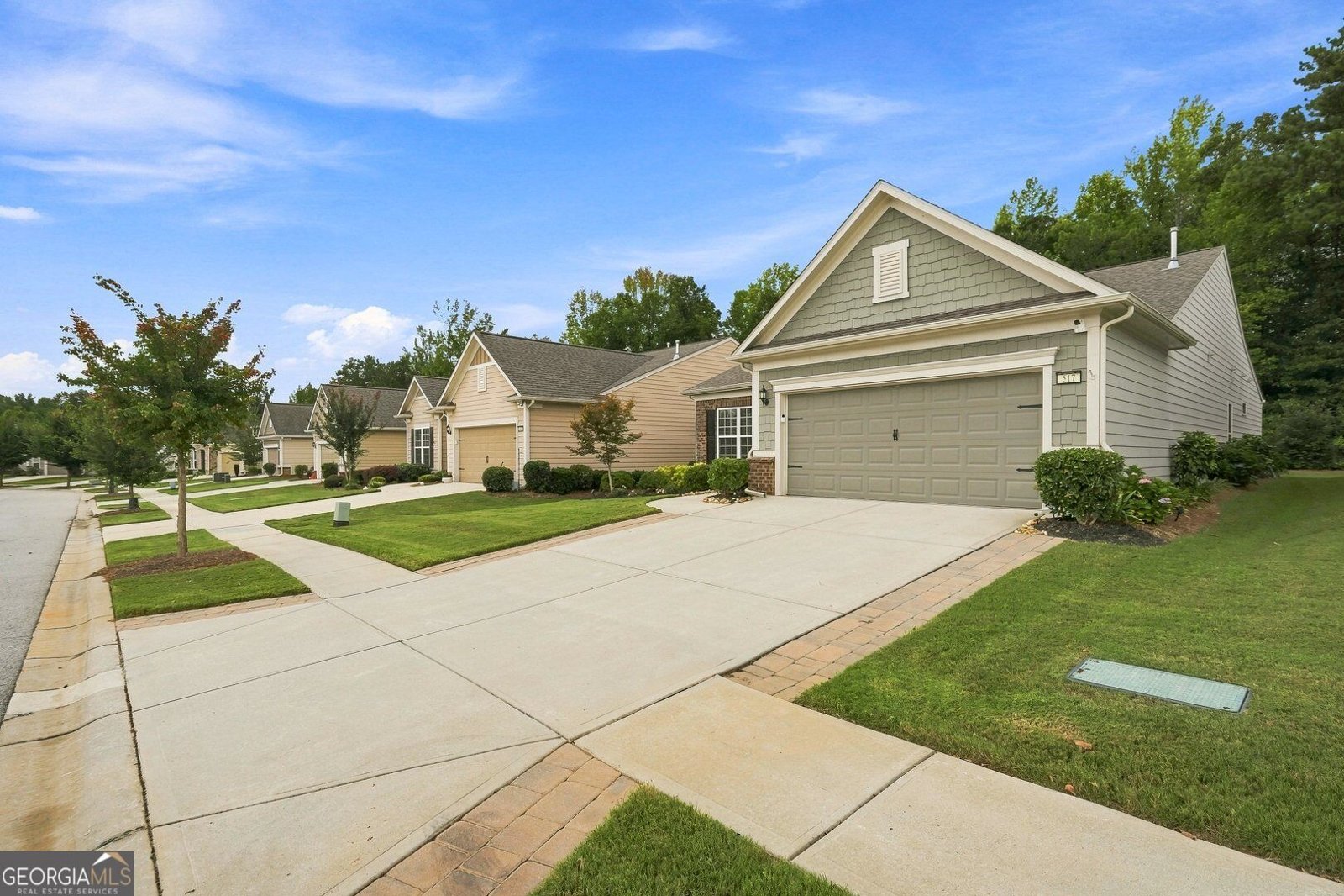 517 Inkberry Drive Griffin - Photo 52
