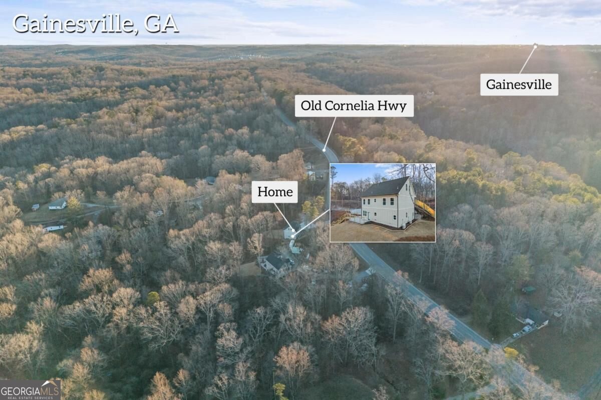 3114 Old Cornelia Highway Gainesville - Photo 76