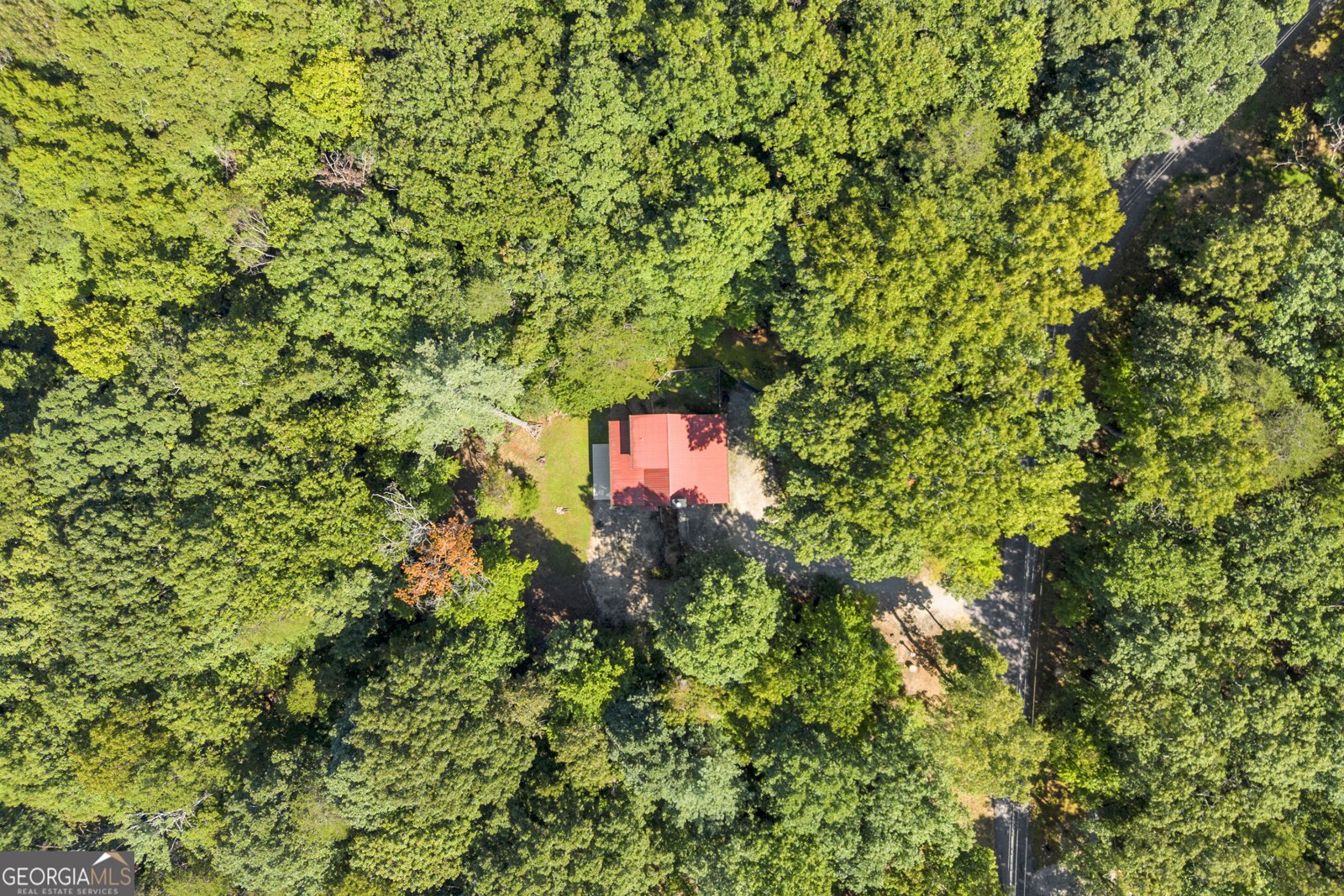445 Skyview Circle Clarkesville - Photo 48