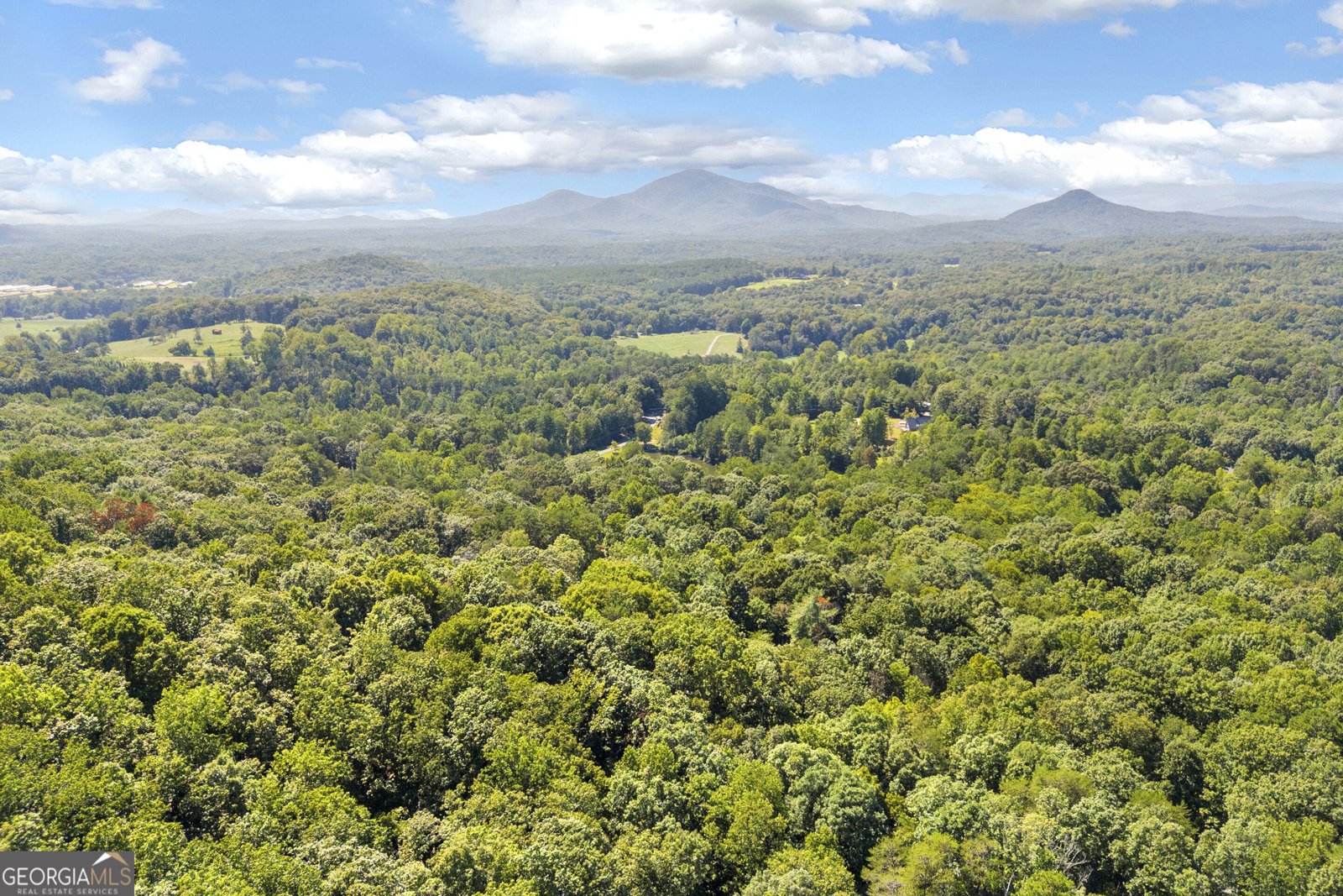 445 Skyview Circle Clarkesville - Photo 49
