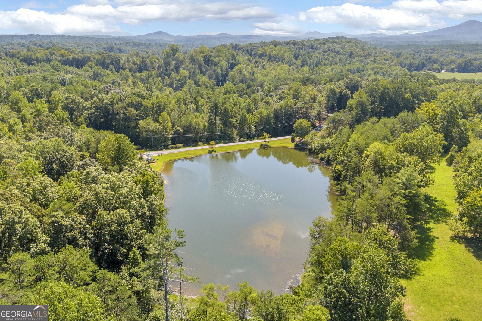 445 Skyview Circle Clarkesville - Photo 50