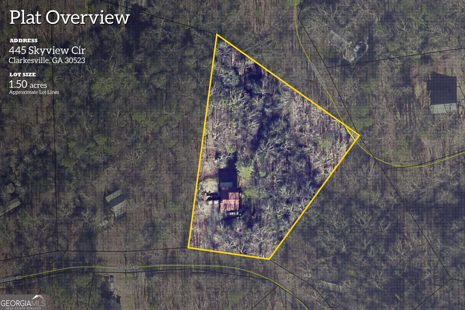 445 Skyview Circle Clarkesville - Photo 52