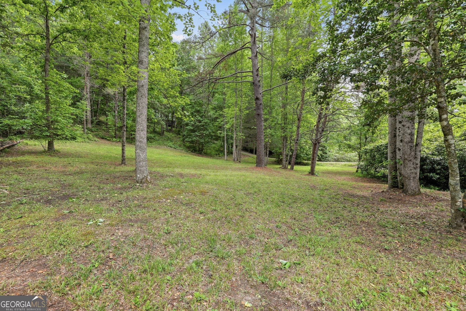 320 Sweetwater Drive Clarkesville - Photo 58