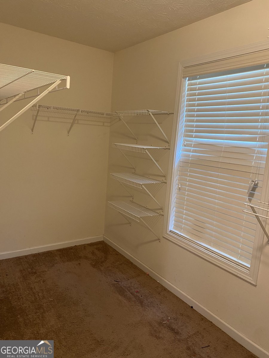 1129 River Tusk Place Conyers - Photo 12