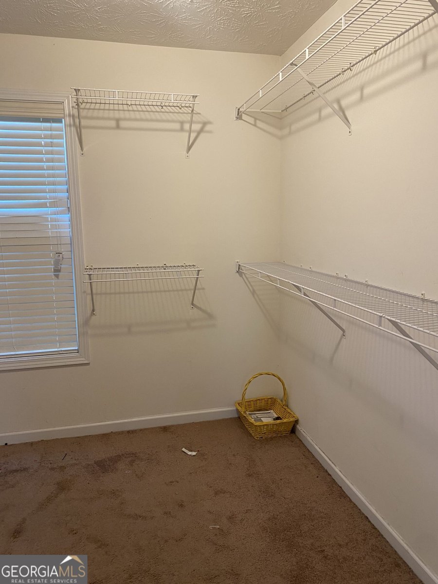 1129 River Tusk Place Conyers - Photo 13