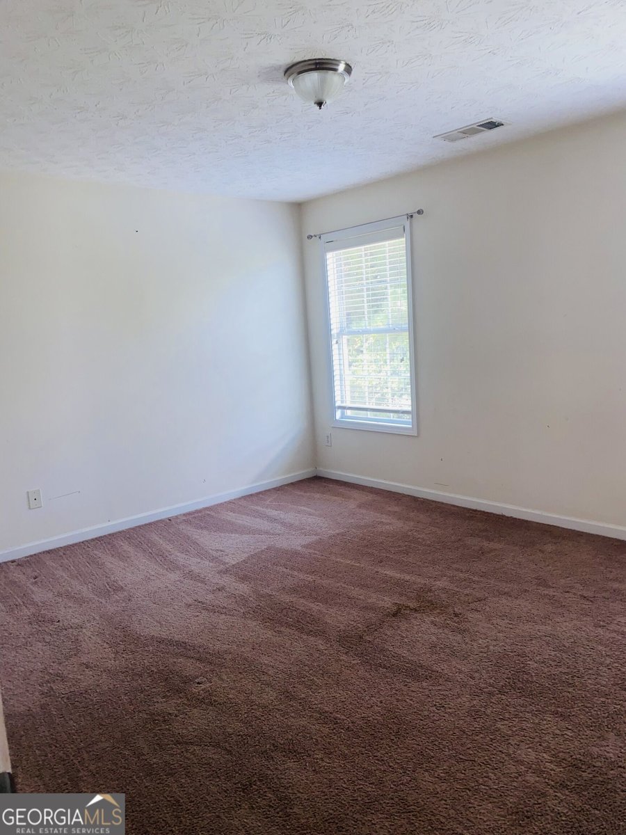 1129 River Tusk Place Conyers - Photo 22