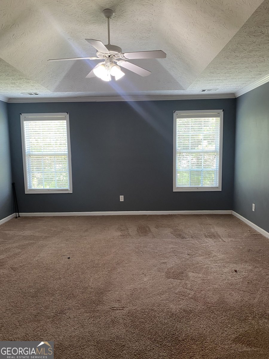 1129 River Tusk Place Conyers - Photo 8