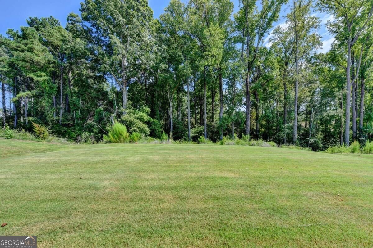 295 Conway Trail Hoschton - Photo 65