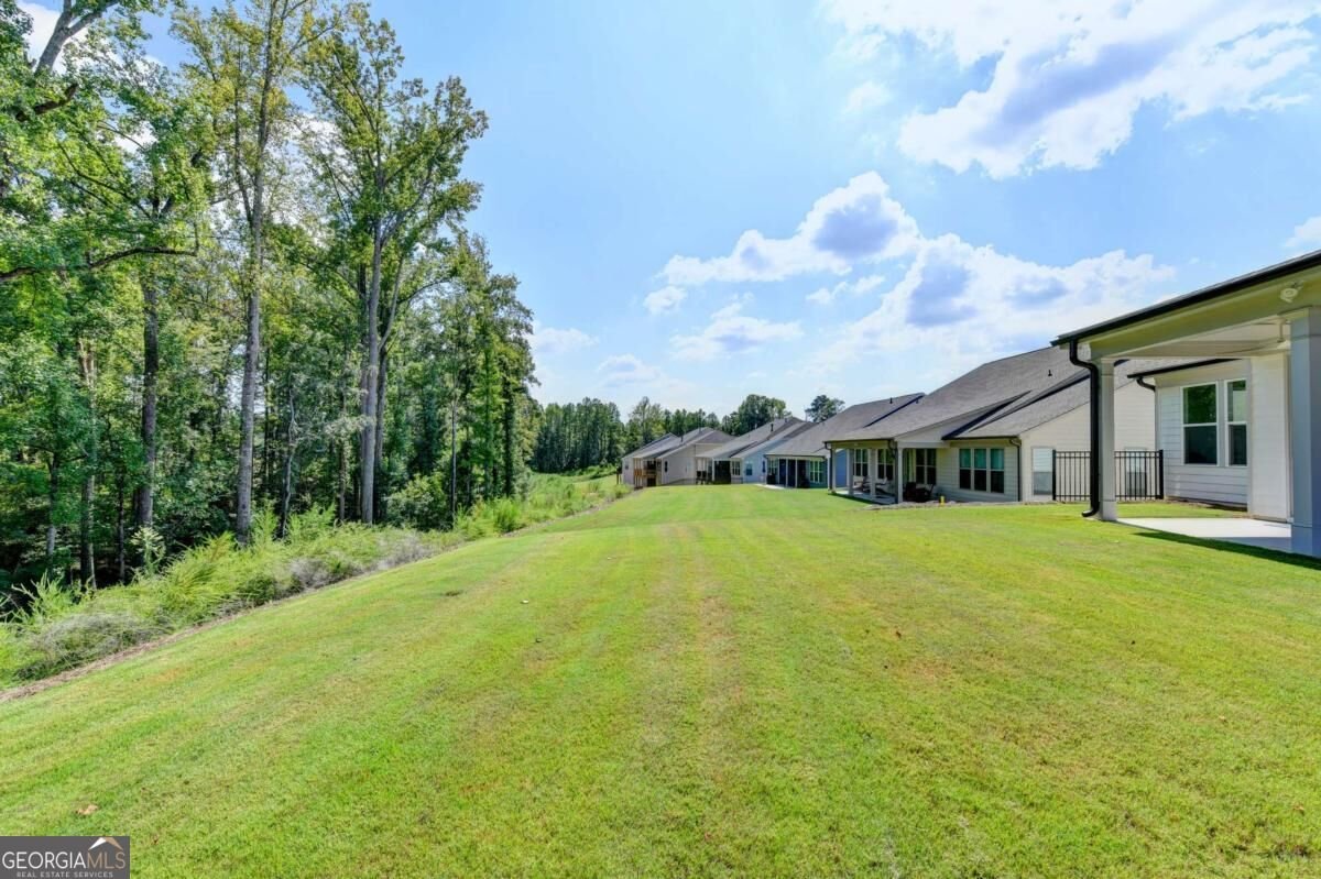 295 Conway Trail Hoschton - Photo 67