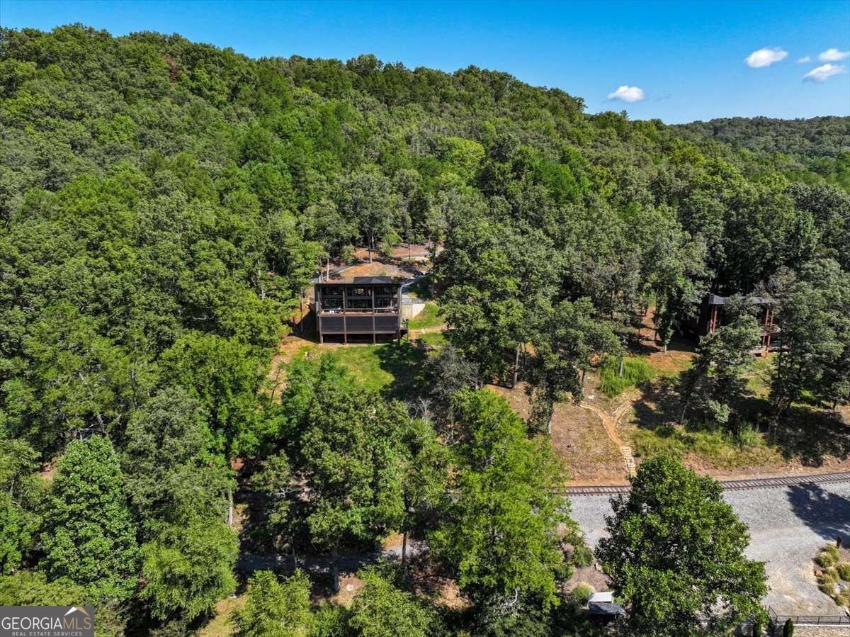 161 River Rock Lane Blue Ridge - Photo 93