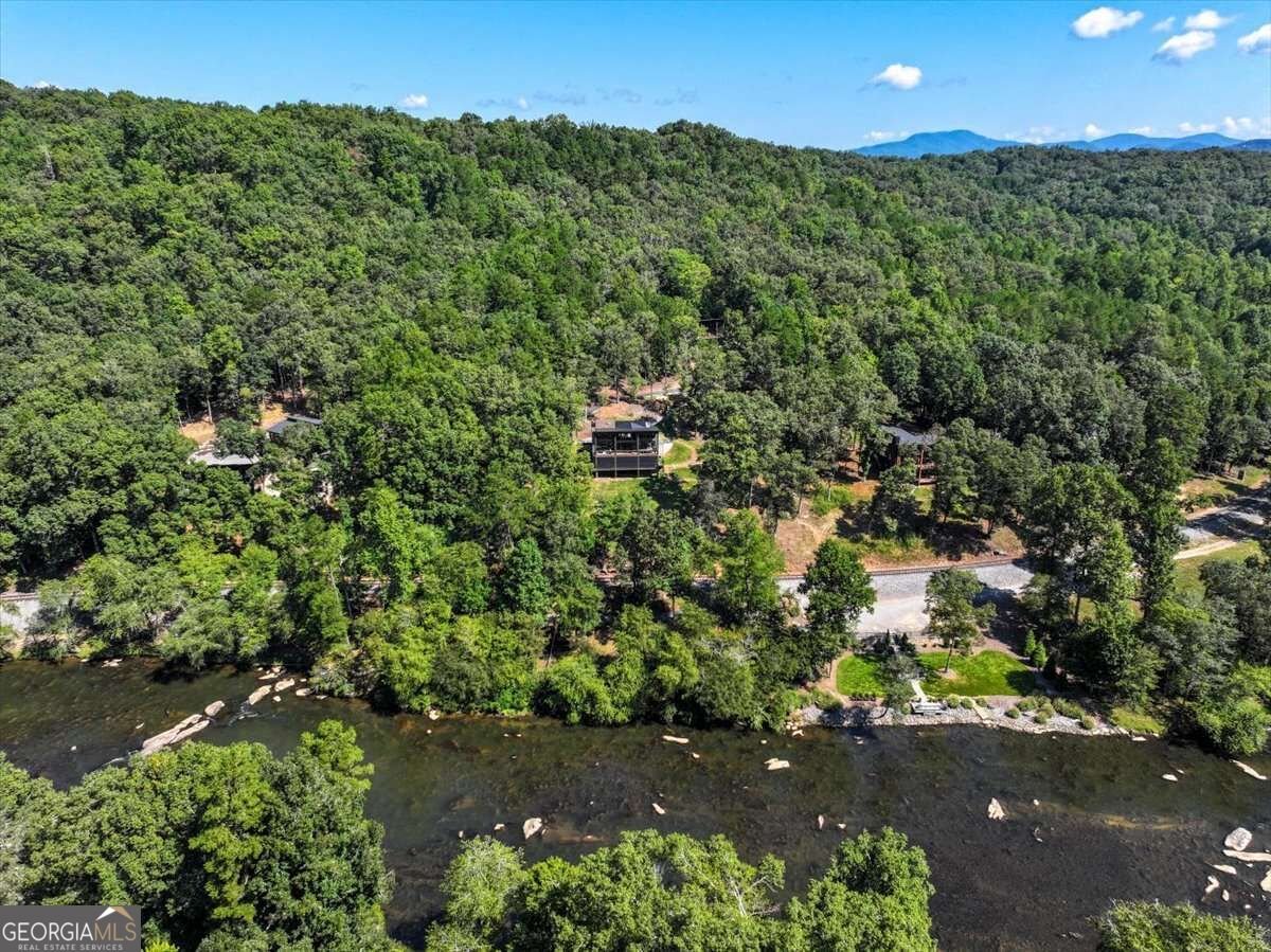 161 River Rock Lane Blue Ridge - Photo 94