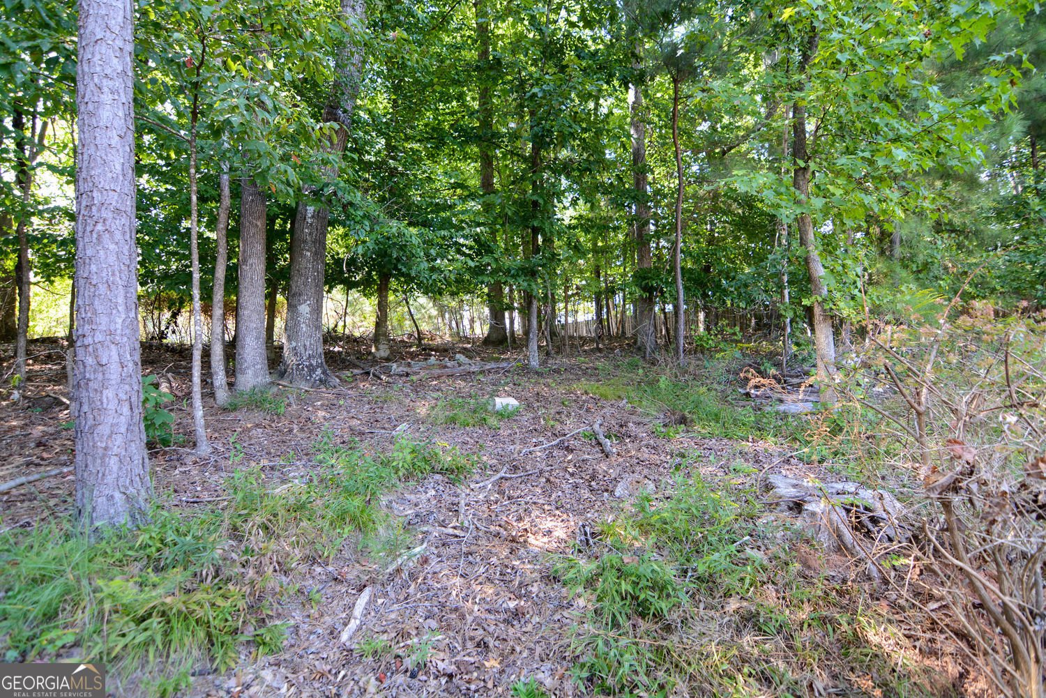 5001 Staverly Lane Peachtree Corners - Photo 59