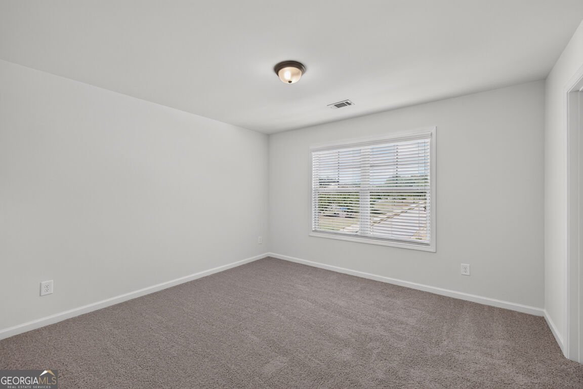 5412 Mountain Mint Flowery Branch - Photo 28