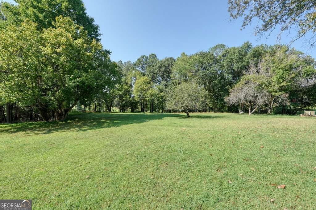 1165 Bartow Street Waleska - Photo 43