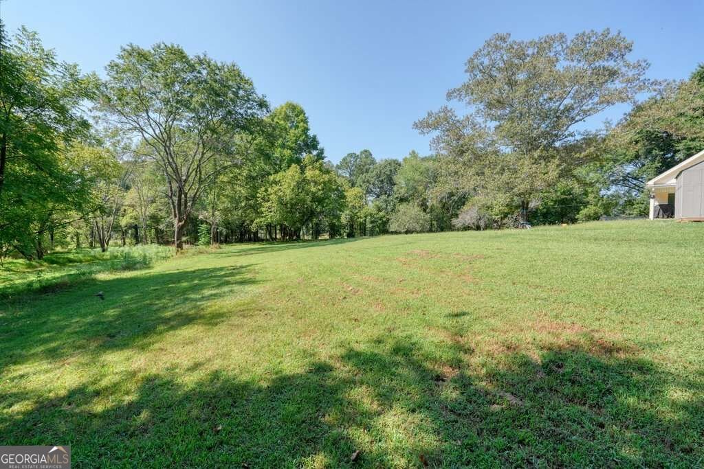 1165 Bartow Street Waleska - Photo 45