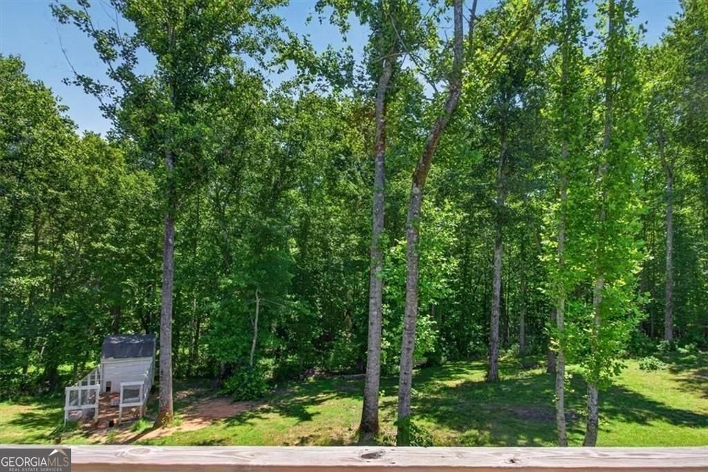 14402 Fincher Road Canton - Photo 43