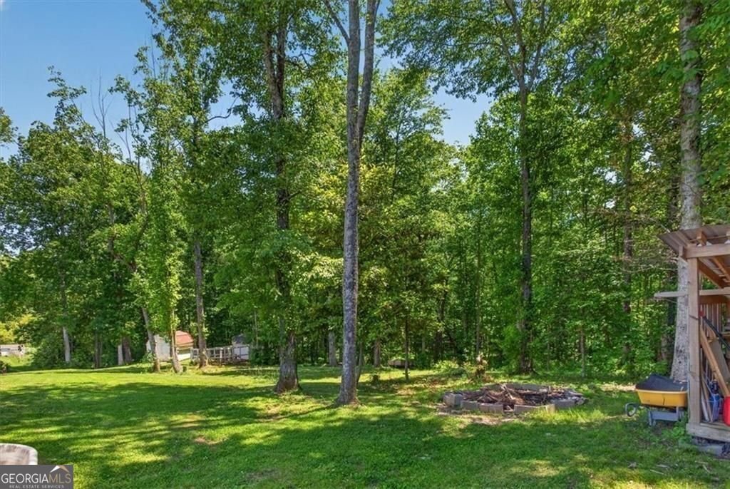 14402 Fincher Road Canton - Photo 45