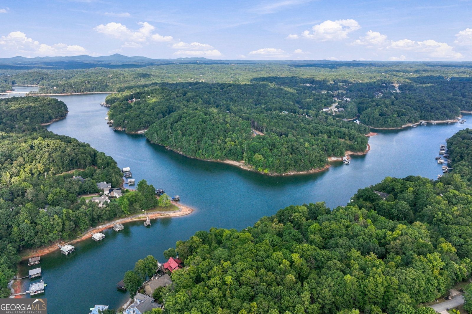 319 Chestatee View Drive Dawsonville - Photo 57