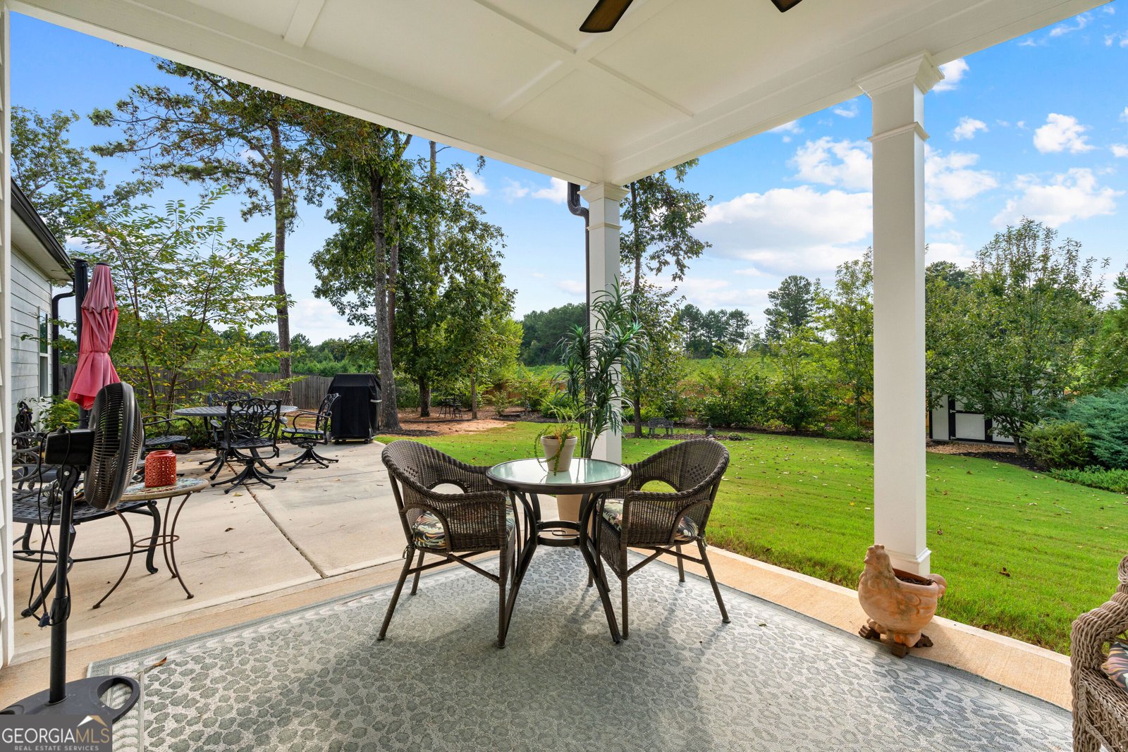 250 Wet Stone Rd Senoia - Photo 41