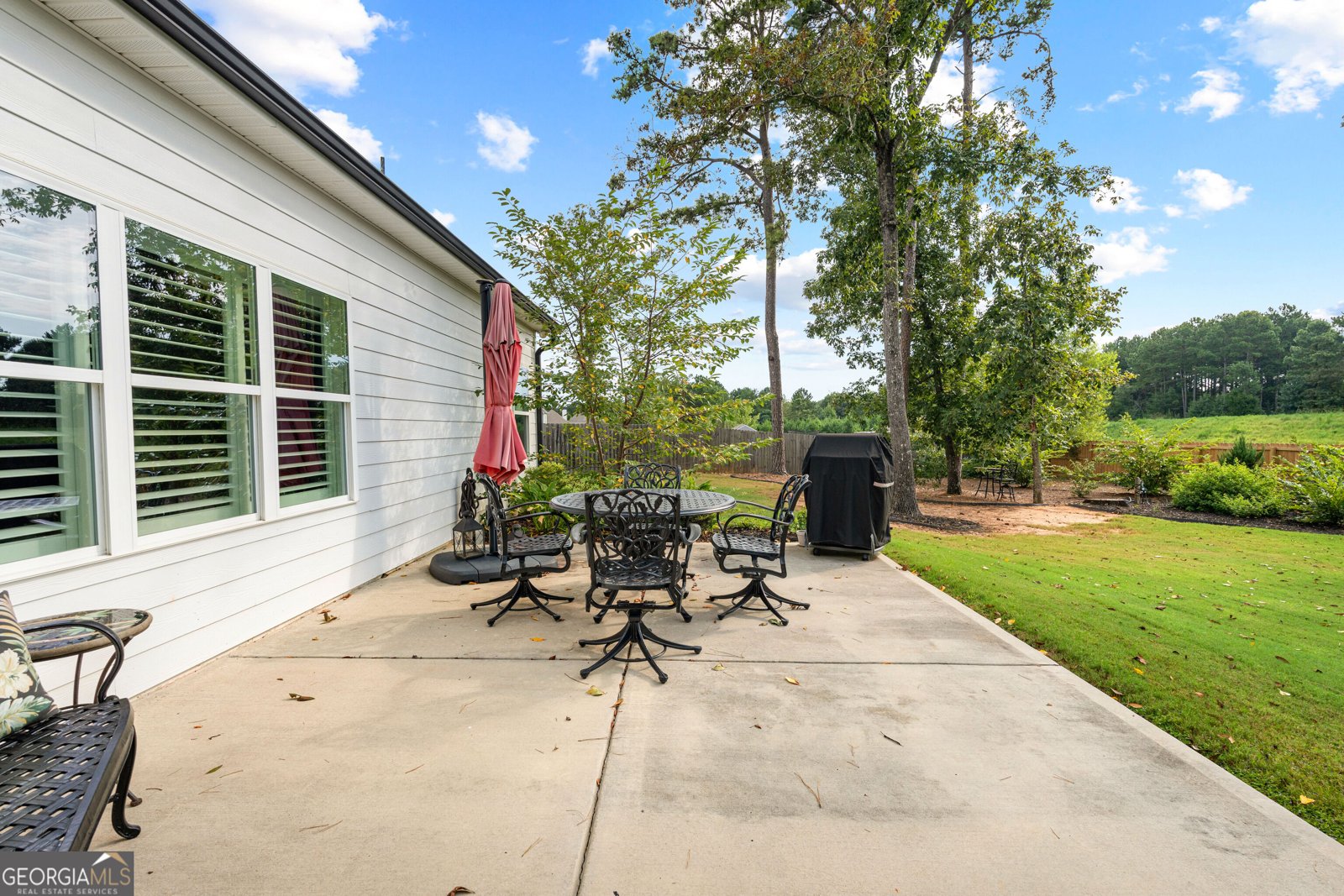 250 Wet Stone Rd Senoia - Photo 43