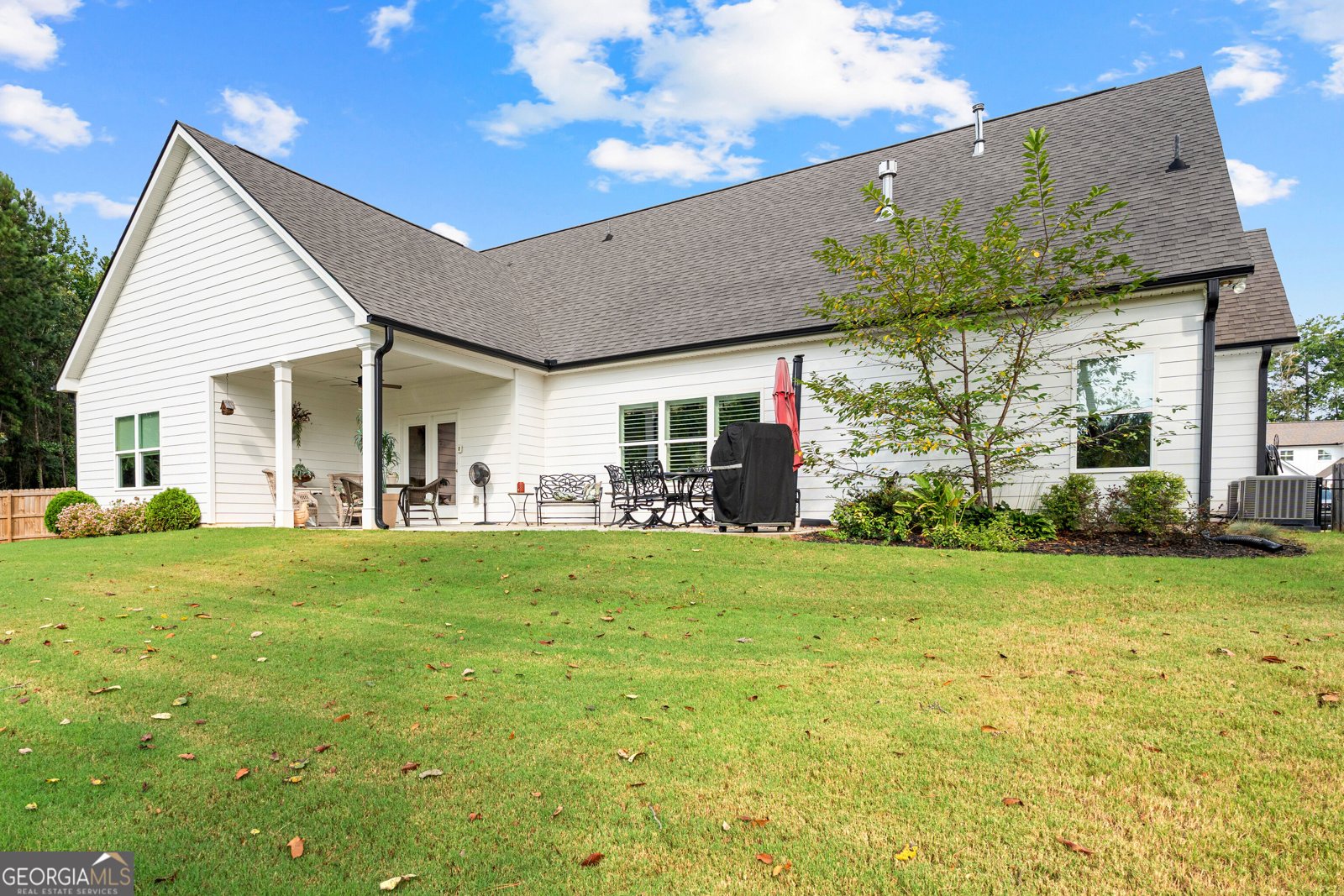 250 Wet Stone Rd Senoia - Photo 44
