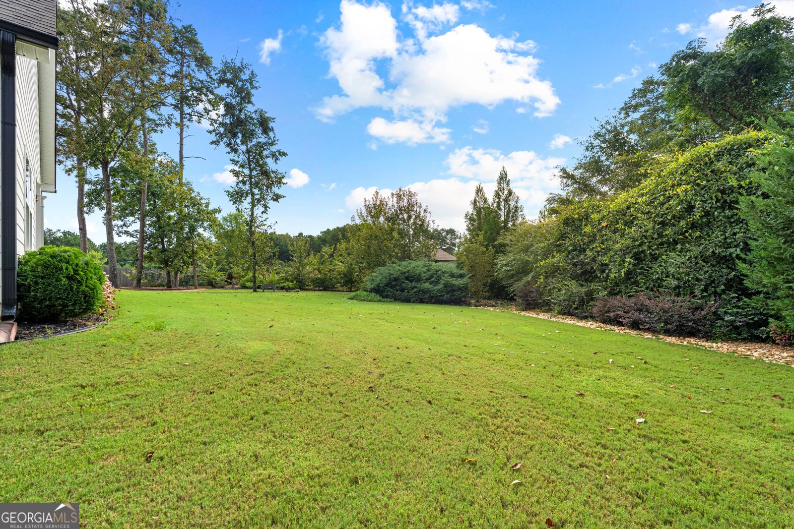 250 Wet Stone Rd Senoia - Photo 47