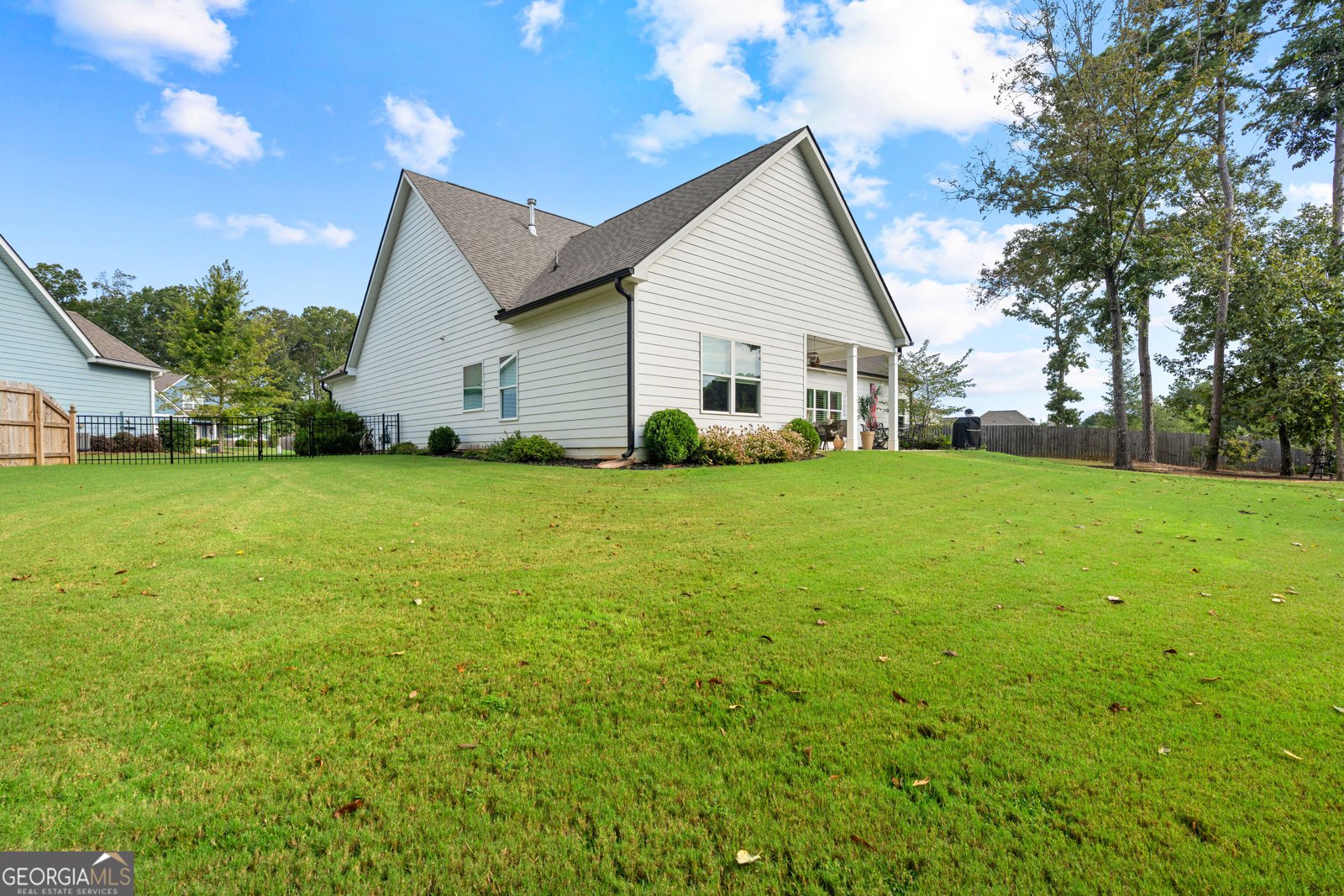 250 Wet Stone Rd Senoia - Photo 48