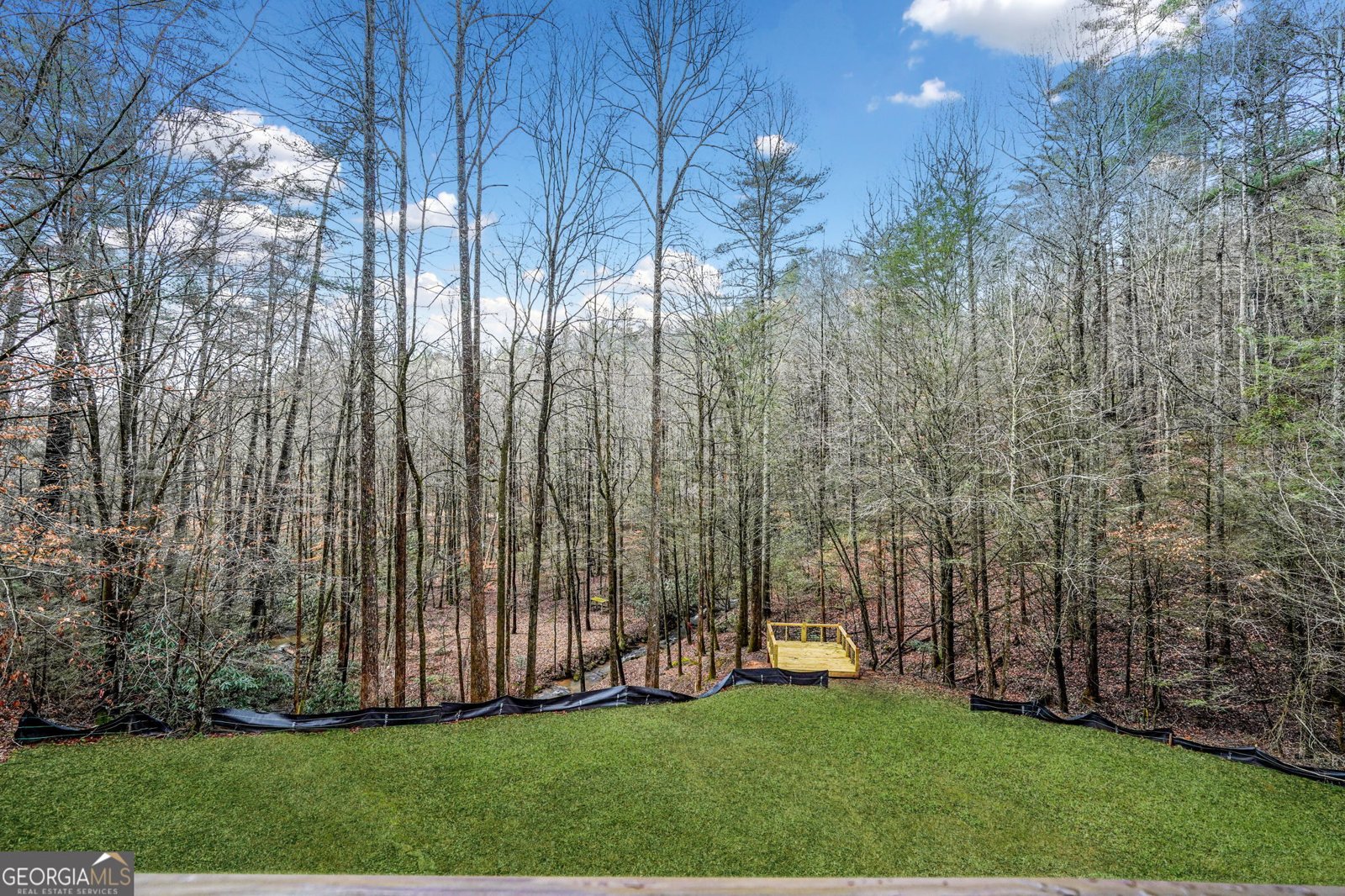 641 Bryant Farm Lane Ellijay - Photo 52