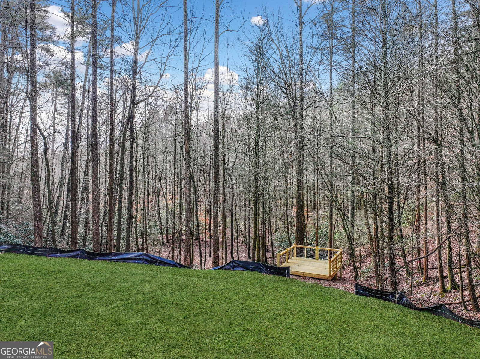 641 Bryant Farm Lane Ellijay - Photo 53