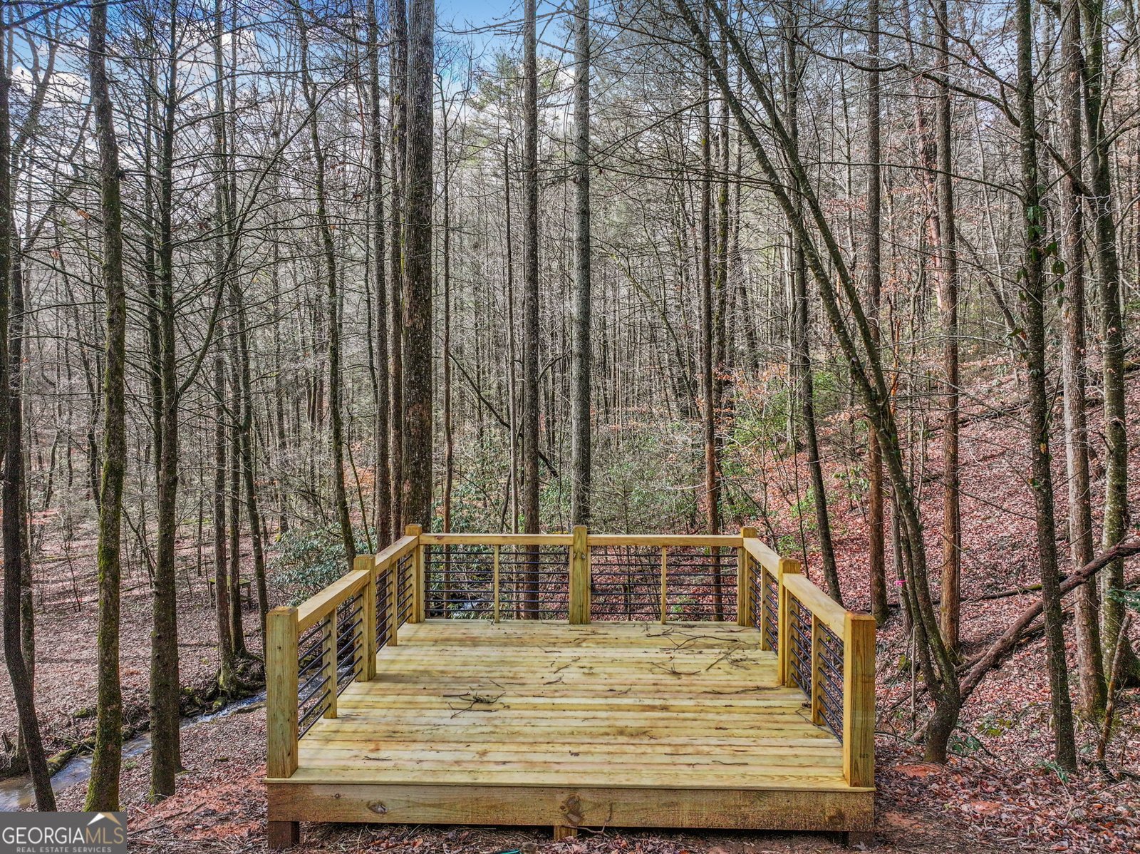 641 Bryant Farm Lane Ellijay - Photo 55