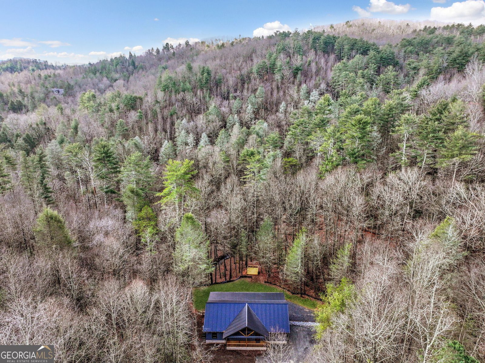 641 Bryant Farm Lane Ellijay - Photo 60