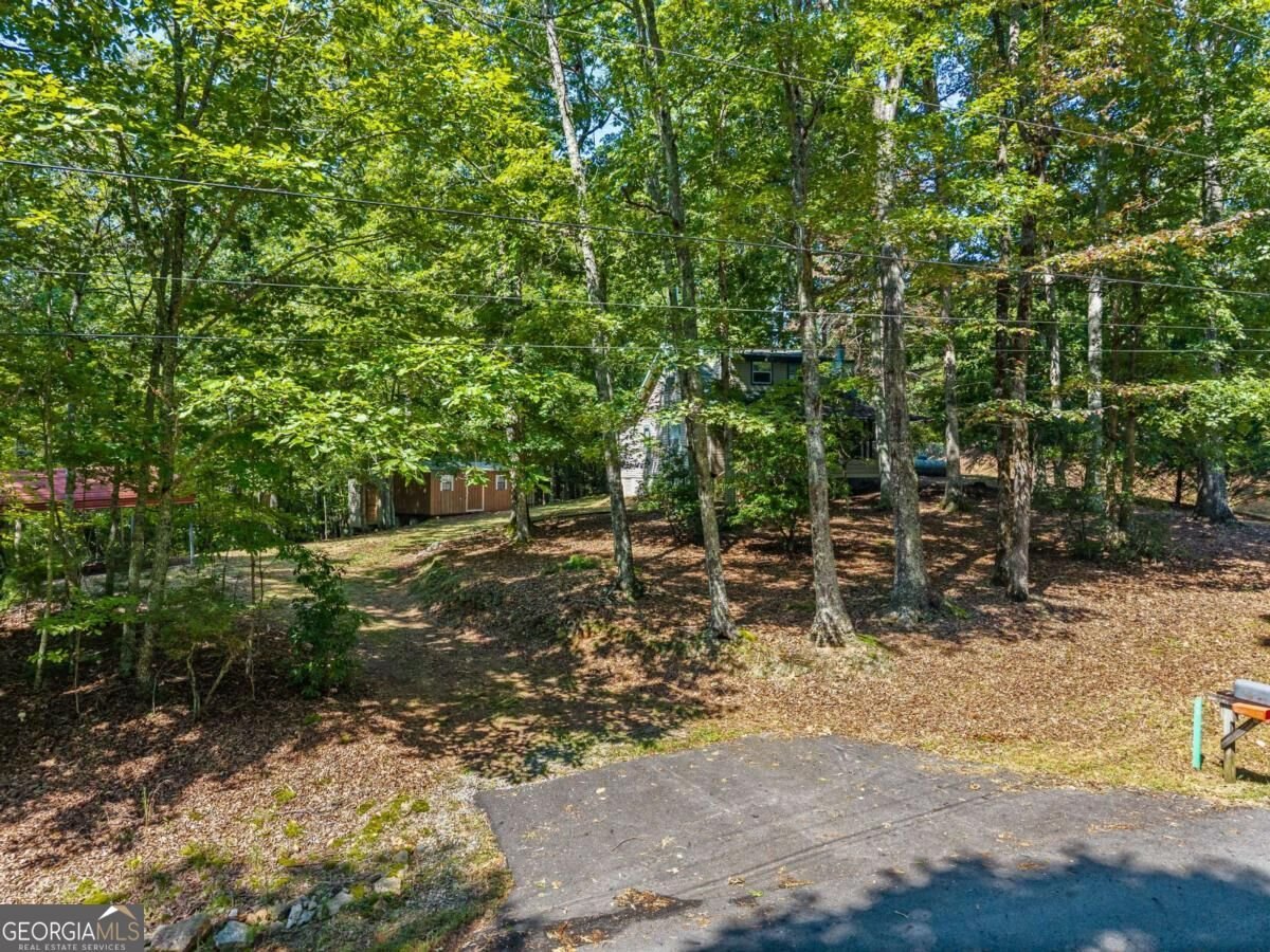 26 Tomahawk Trail Blairsville - Photo 37