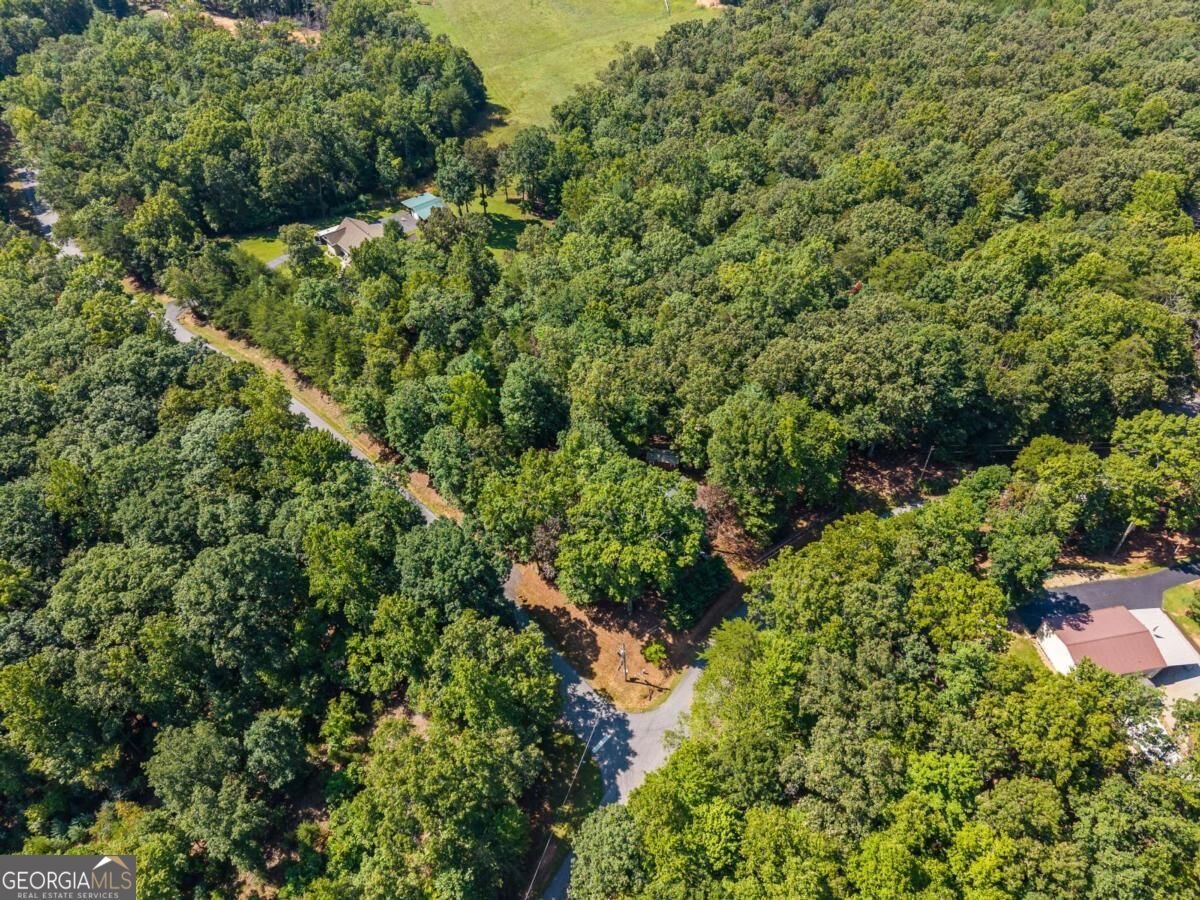26 Tomahawk Trail Blairsville - Photo 40