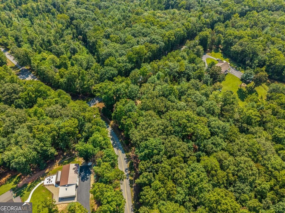 26 Tomahawk Trail Blairsville - Photo 41