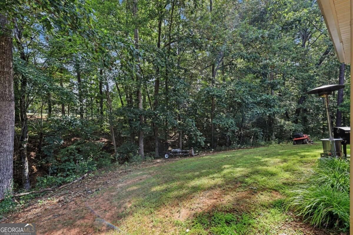 855 Archie Drive Mcdonough - Photo 38