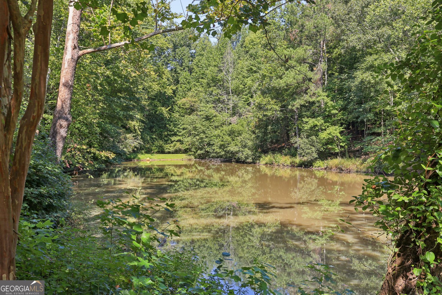 1090 Applecross Drive Roswell - Photo 54