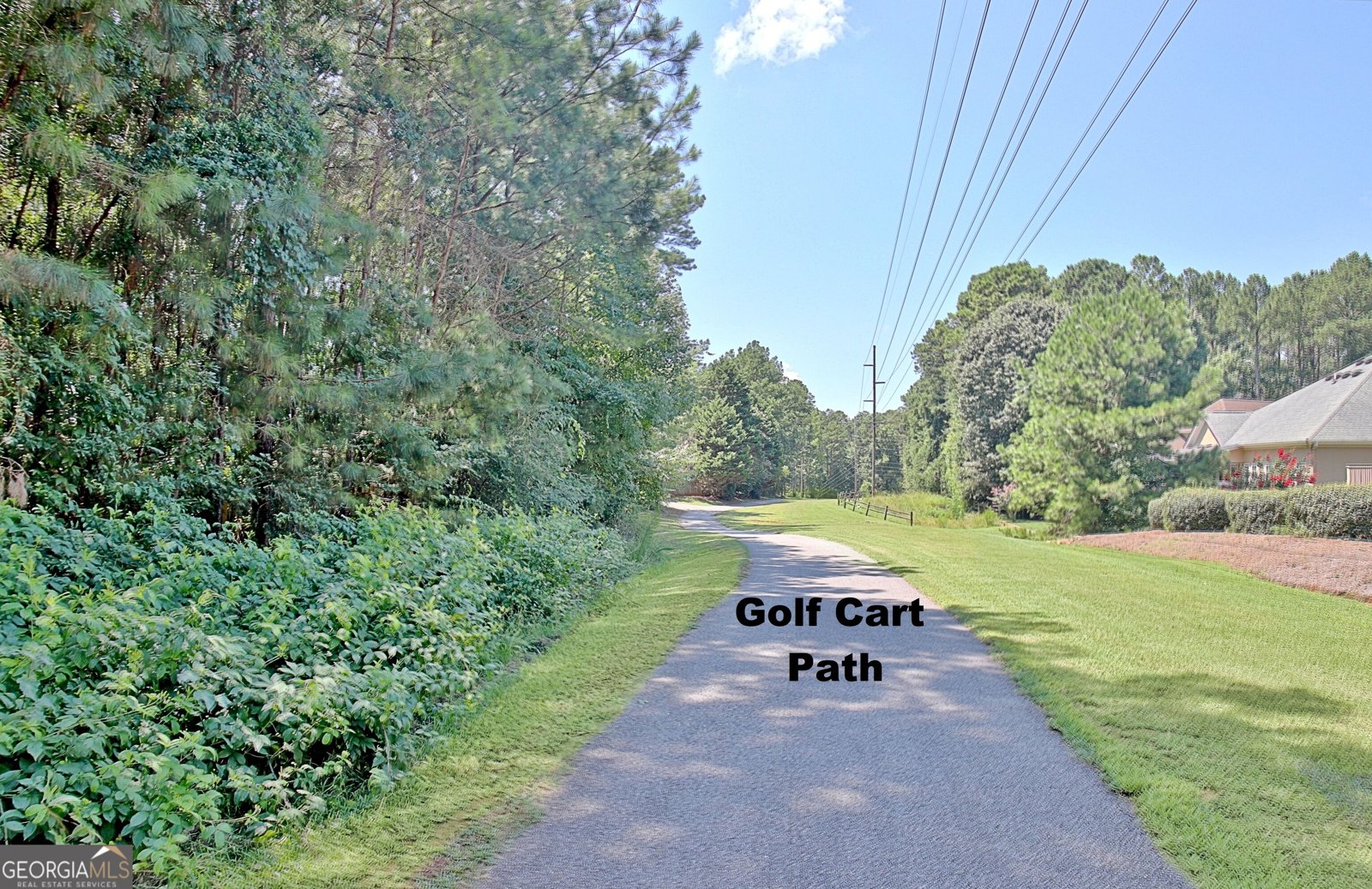 117 Crown Court Peachtree City - Photo 71