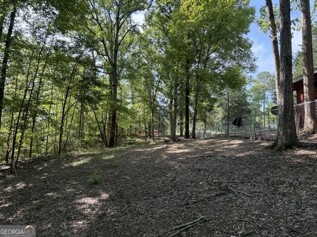 462 Amaryllis Drive Sparta - Photo 12