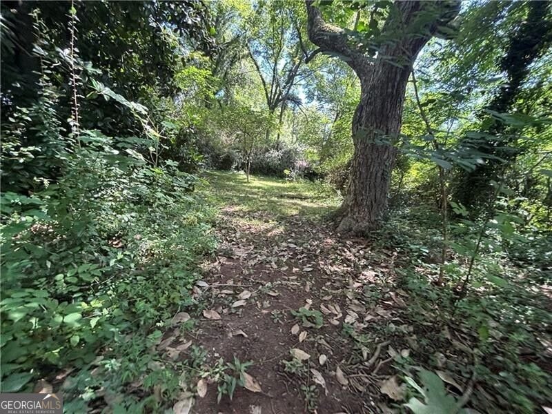 232 Main Street Dahlonega - Photo 16