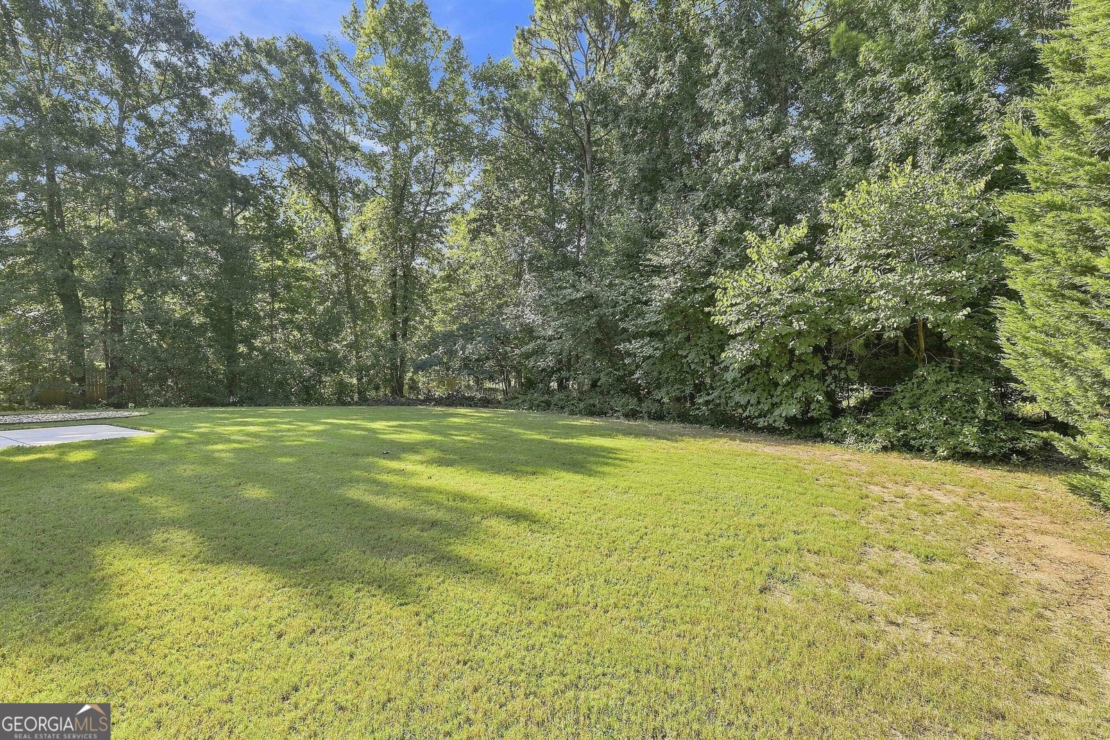80 Savannah Drive Senoia - Photo 46