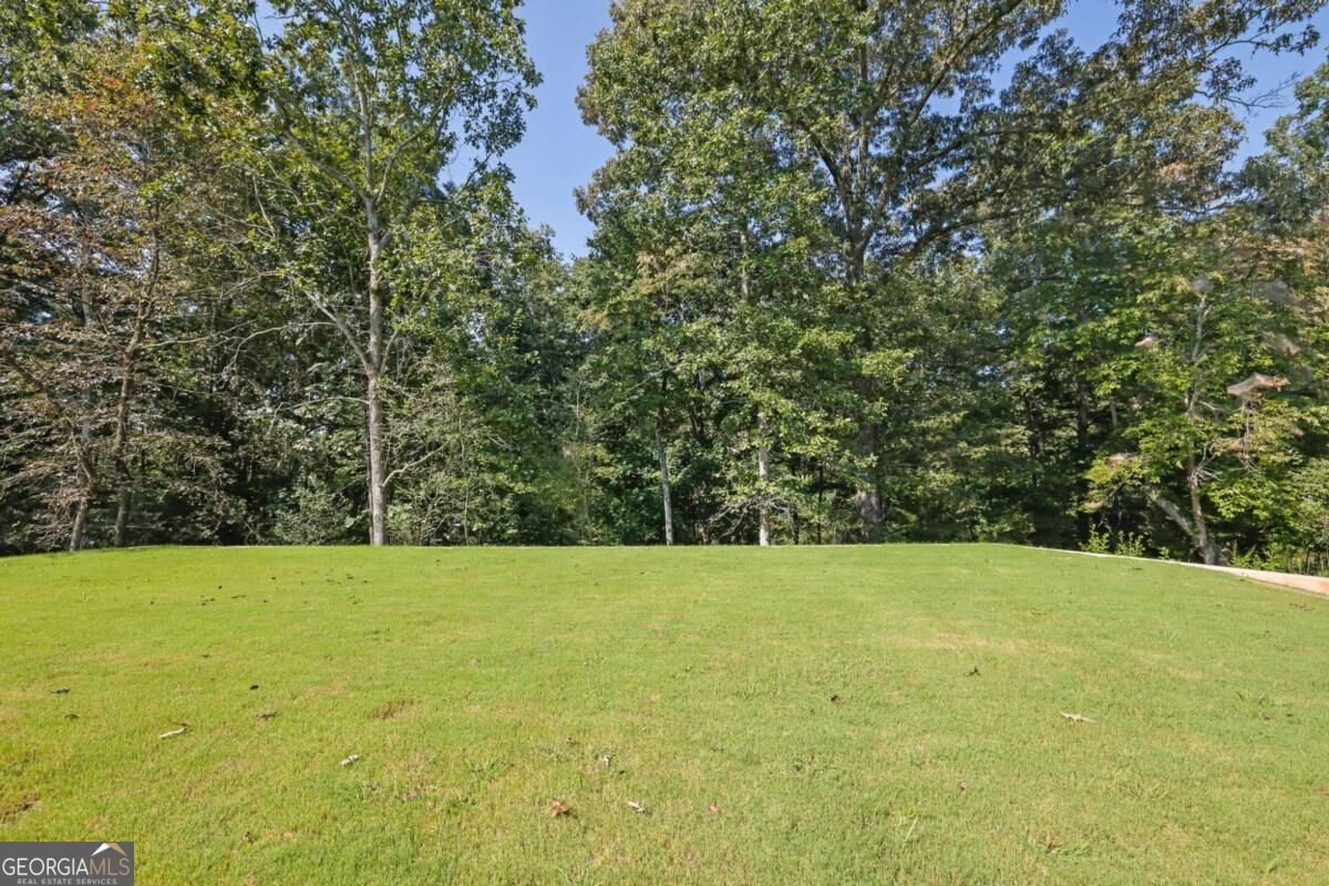255 Clear Creek Preserve Way Ellijay - Photo 42