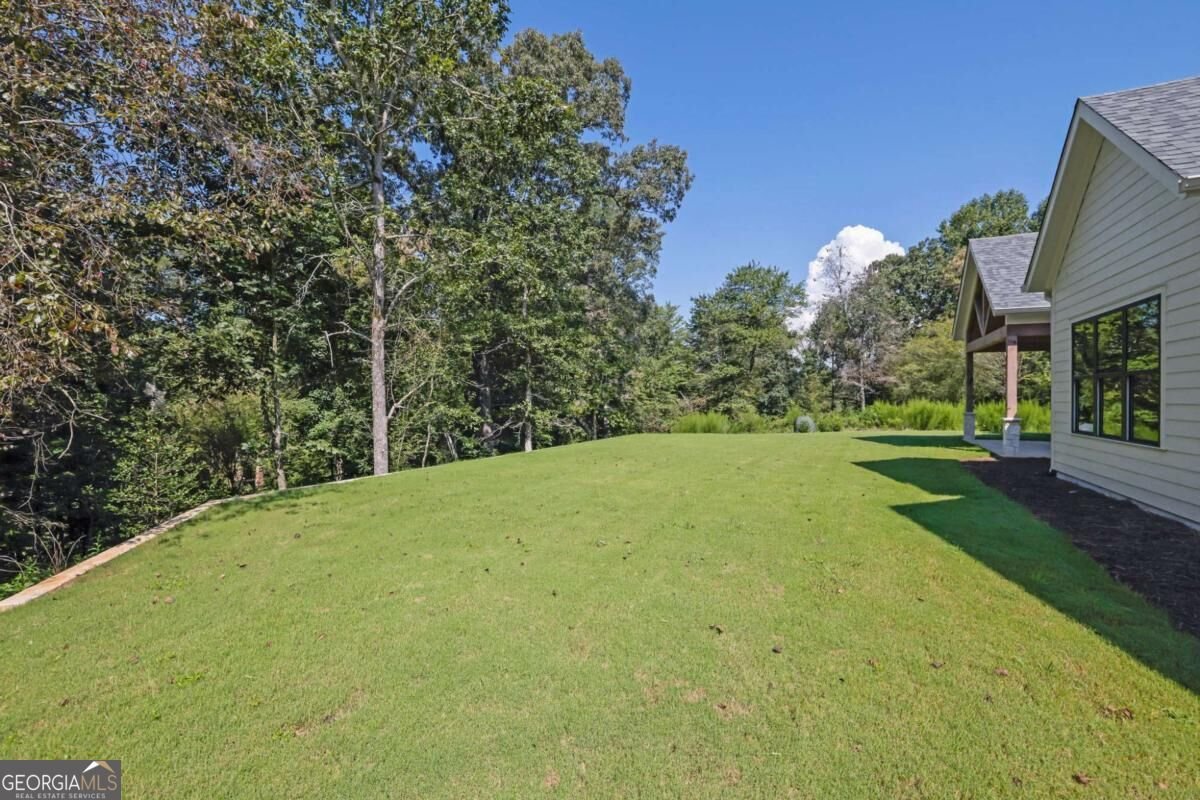255 Clear Creek Preserve Way Ellijay - Photo 44