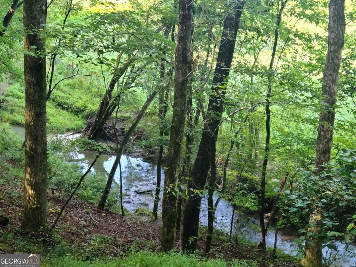 255 Clear Creek Preserve Way Ellijay - Photo 48