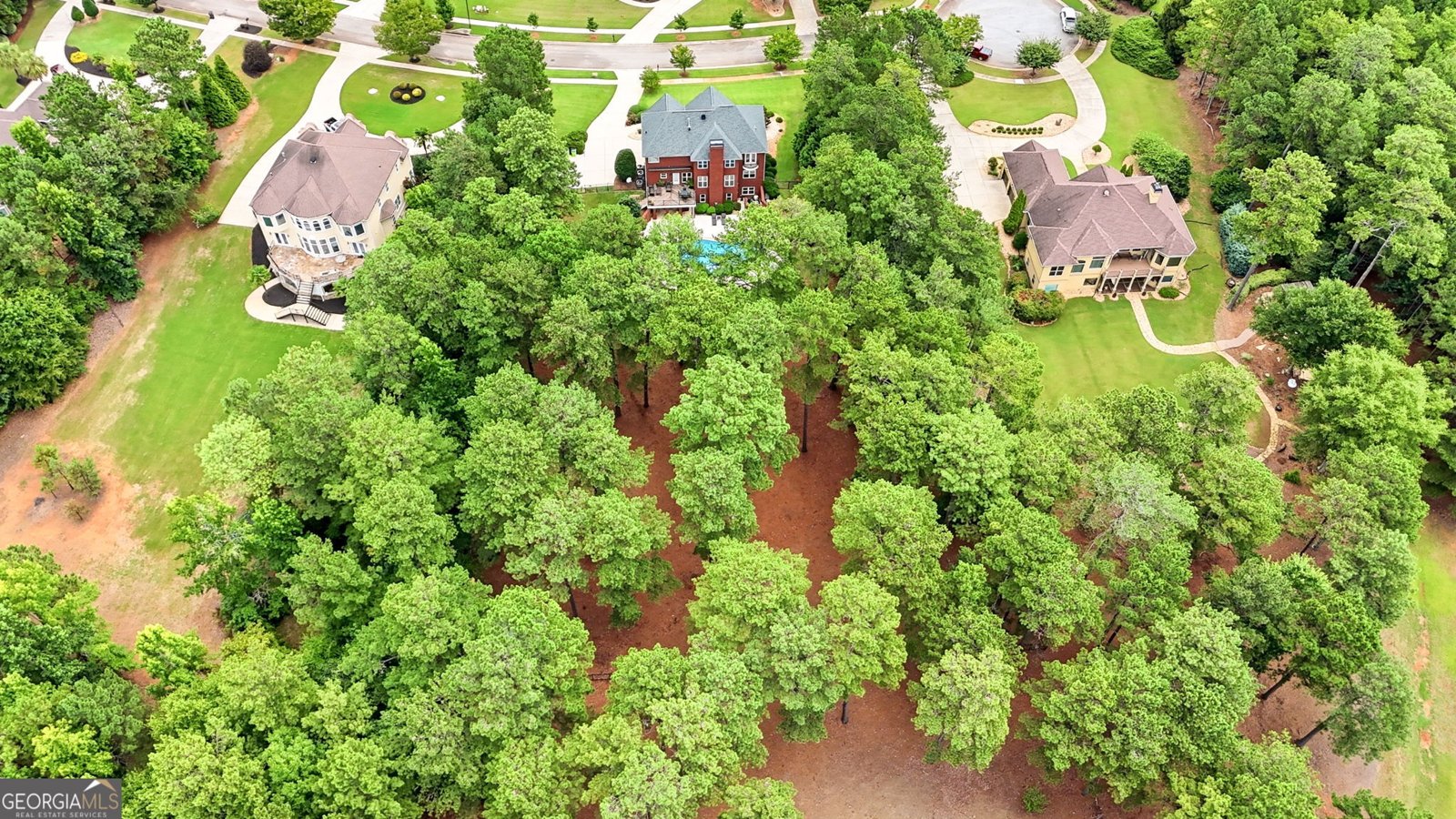 1724 Panorama Drive Locust Grove - Photo 94