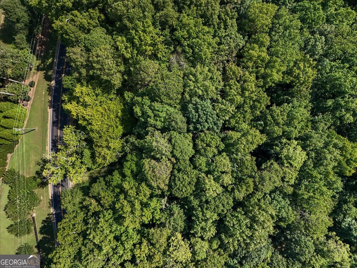 15225 Thompson Road Milton - Photo 10