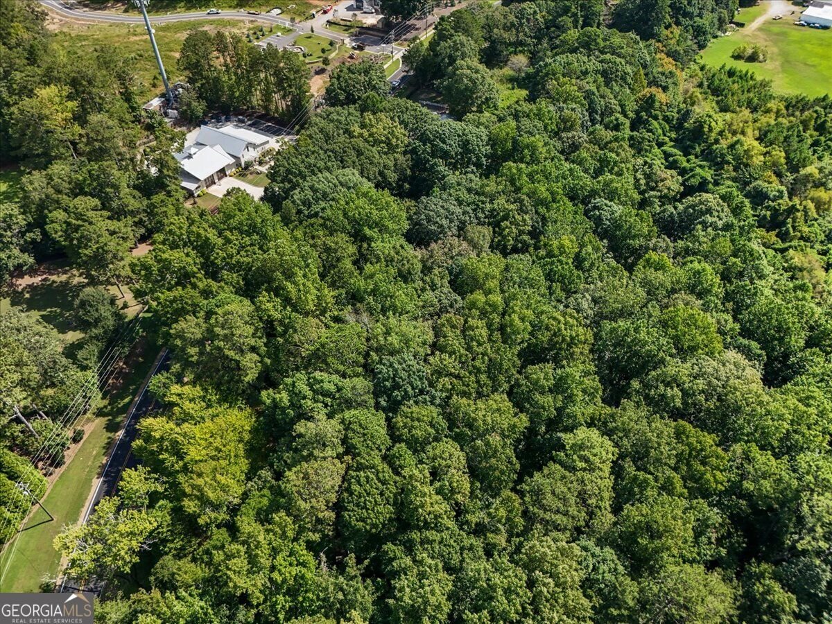 15225 Thompson Road Milton - Photo 11