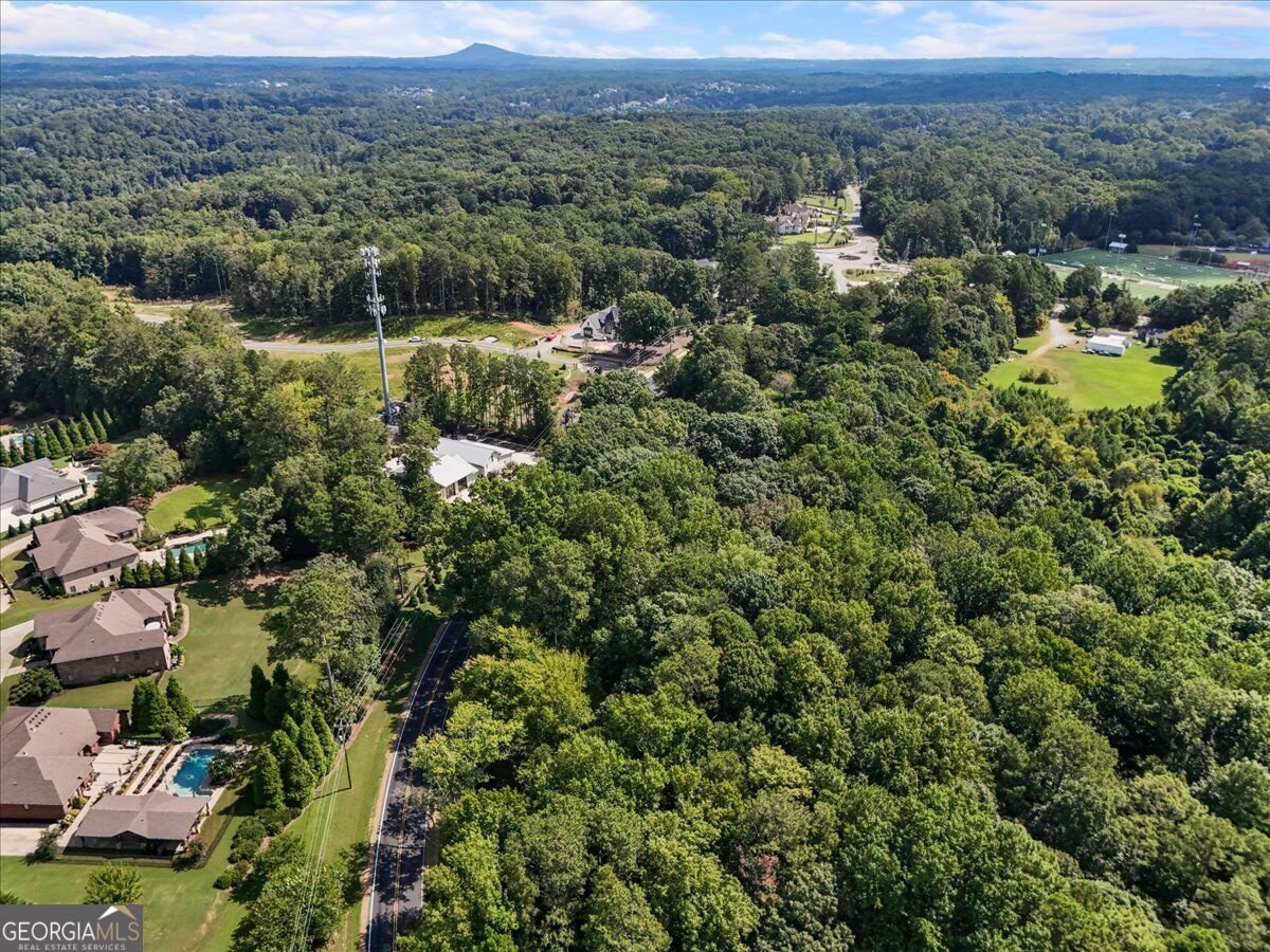 15225 Thompson Road Milton - Photo 12