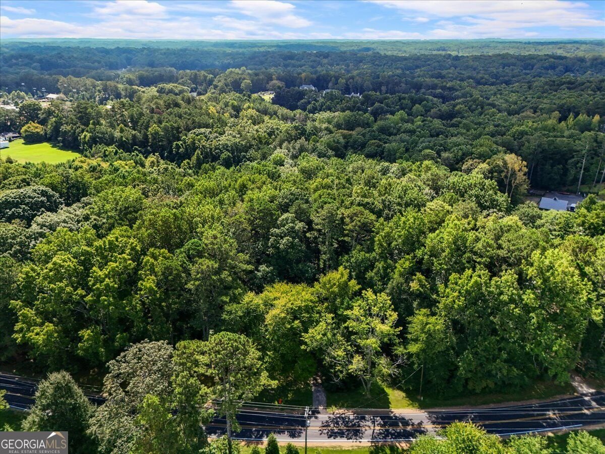 15225 Thompson Road Milton - Photo 8