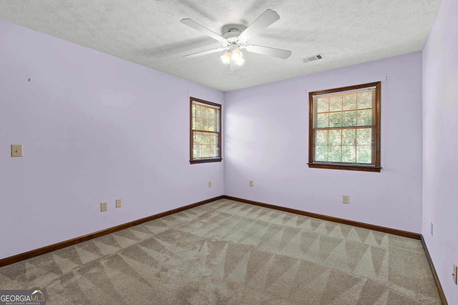 178 Major Road Sharpsburg - Photo 35