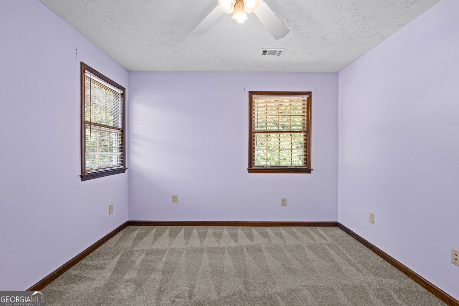 178 Major Road Sharpsburg - Photo 36